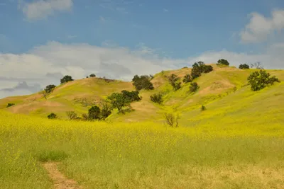 DSC_6397 (Large).JPG